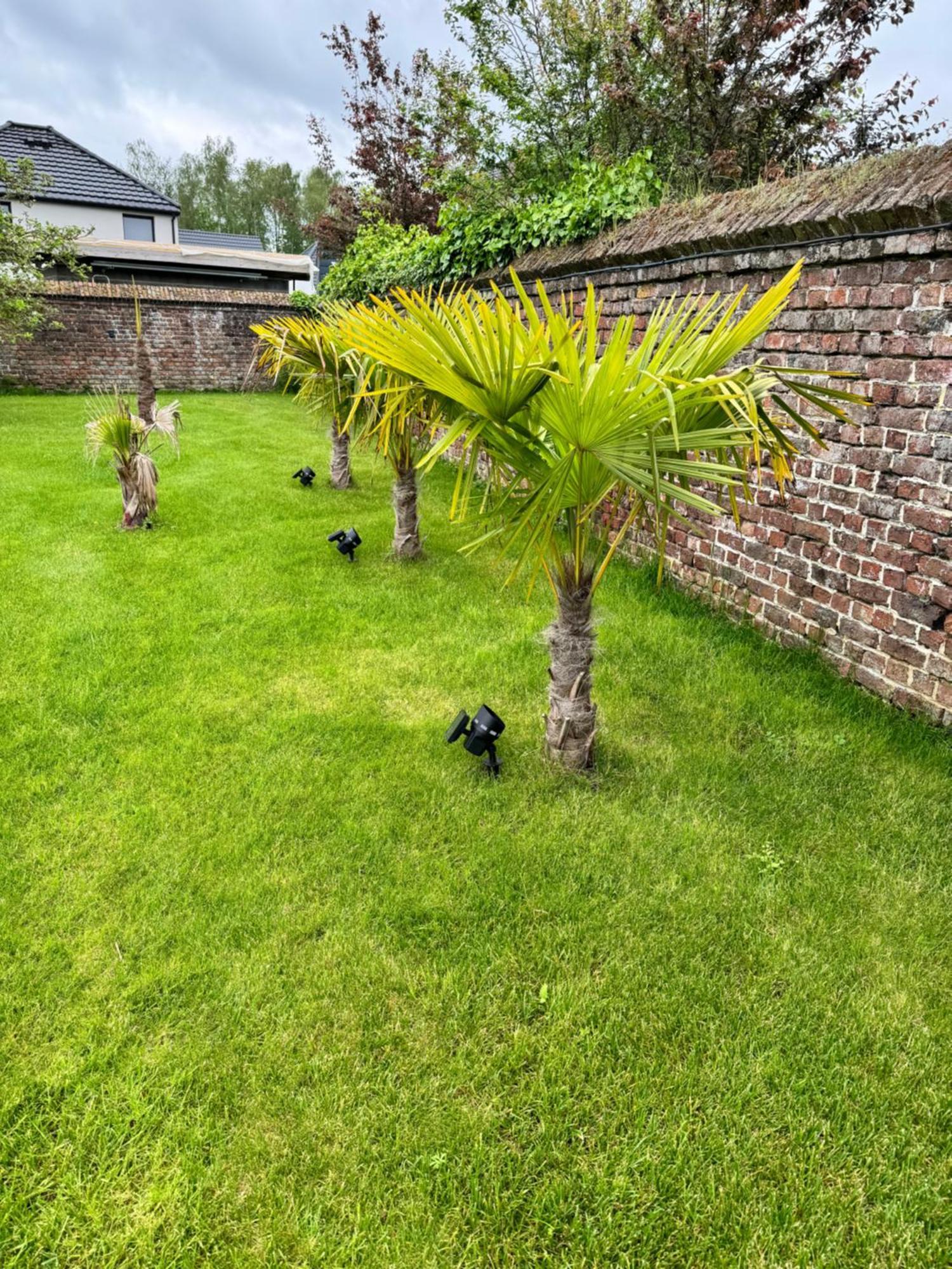 Gite Avec Piscine Lestrem Exterior foto